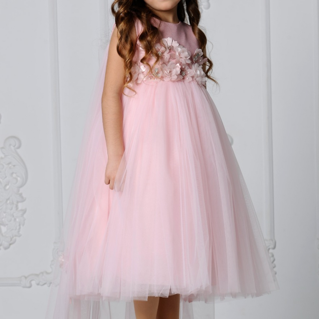 Elegant Blush Pink / Red Girls Dress